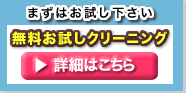 無料お試しデモクリーニング